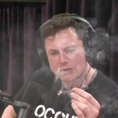 Max Kravchuk, 16.09, Киев