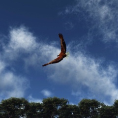 Андрей Супранович, 26.03.1987, Минск