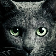 Руслан Молчанов, 19.08.1977, Львов