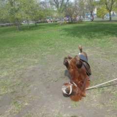 Александра Малыгина, 24.01, Тольятти
