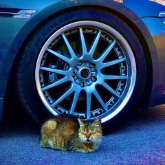 Иван Петров, 26.09.1930, Санкт-Петербург