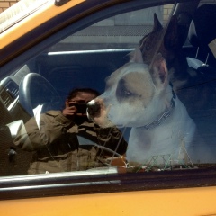 Света Оверченко, 23.01.1991