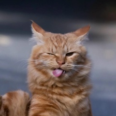 Алёна Валерьевна, 18.05, Москва