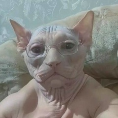 Владислав Алгазин, 15.07, Усть-Каменогорск