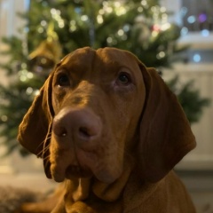 Ирина Шелег, Санкт-Петербург