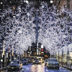 Асем Абайкызы, 01.05.2002