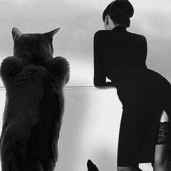 Светлана Ермакова, 16.09, Санкт-Петербург