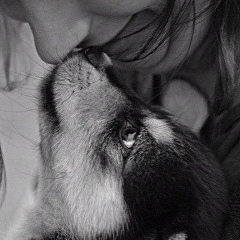 В Тишине, Москва