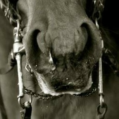 Николай Πанков, 01.03.1996, Москва