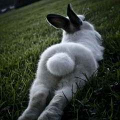 Ксения Неделькина, 08.04, Жуковский