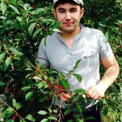 Хусин Рахмонов, 15.11.1990, Сариасия