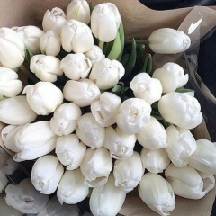 Дарья Дарья, Барнаул