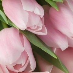 Владислава Романюк, 15.08