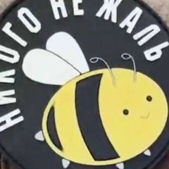 Евгения Пчела, Норильск