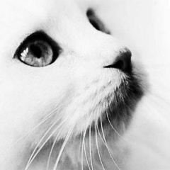 Ольга Нагорнова, Нижнекамск