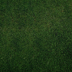 Алексей Викторов