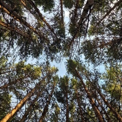 Ярослав Ершов, 10.01.1992, Караганда