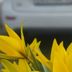 Анна Белых, 25.07.1989, Светлоград