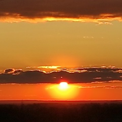 Марат Хабибуллин, 24.12.1984, Дмитров