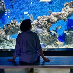 Ольга , 16.03.1990, Москва