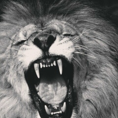 Анвар Турсунов, 10.01, Москва