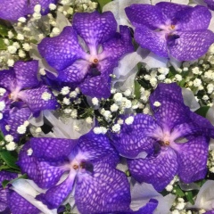 Анна Ментанна, 19.07, Москва