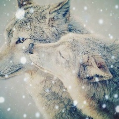 Айнура Рахимжанова, 26.01.1990, Астана