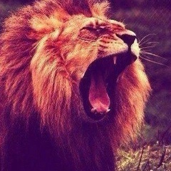 Сирожидин Закиров, 21.01.1994, Киев