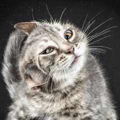 Анна Бицкая, 08.09.1987