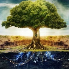 Дина Нурберген, 30.01, Актау