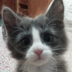 Дима Салиев, 21.05.1985