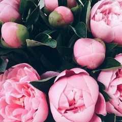 Карина Мубаракшина, Караганда