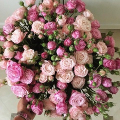 Акимбаева Айша, 30.01, Алматы