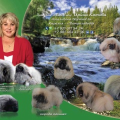 Ирина Котова, 28.03.1972, Поросозеро