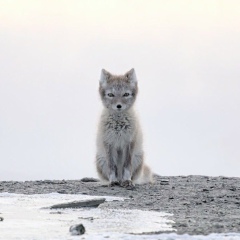 Егор Сергеевич, 24.09.1987, Калининград