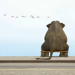 Адилет Сайназаров, 04.07, Бишкек