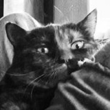 Роман Кондратьев