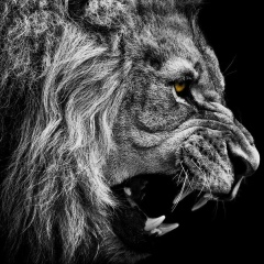 Вадим Нагапетян, 27.07, Praha