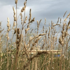 Ашим Ахметов, 13.03.1991, Алматы