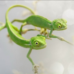 Саша Шпаков, 19.06.1981, Волжский