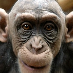 Андрей Нефёдов, Санкт-Петербург