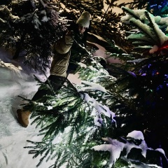 Алла Борисовна, Санкт-Петербург