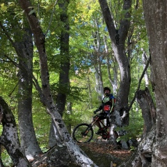 Макс Барановский, 08.01