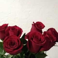 Татьяна Анатольева, 25.11, Санкт-Петербург