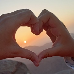 Ольга Комиссарова, 14.11