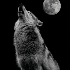 Abubakr R, 20.12.1989, Грозный