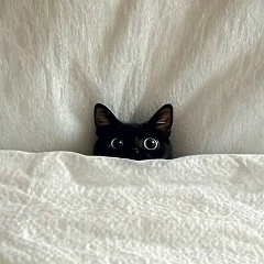 Анна Бородина, Абакан