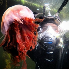 Фёдор Миронов, 09.08.1989