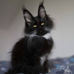 София Петрова, 27.02.1984, Приозерск