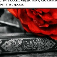 Магомед Шамилов, 07.12.1993, Грозный